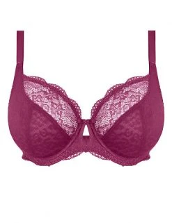 Freya Bras Fancies Wired Plunge Bra C-G -Lingerie Sales Shop SD 08 T13 4821 F8 X EC 90